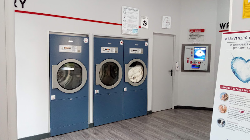 Lavandería Coslada - Bloomest Lavandería Coslada - Bloomest