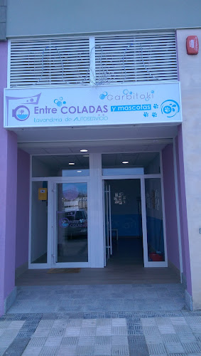 ENTRE COLADAS Y MASCOTAS