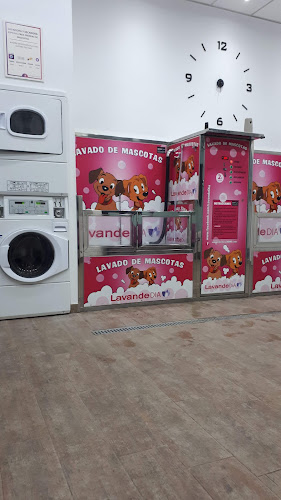 LavandeDIA LavandeDIA