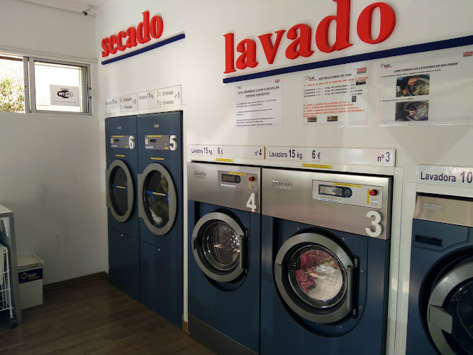 BLOOMEST-MIELE LAVANDERÍA AUTOSERVICIO ACTUR ZARAGOZA