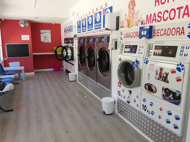 Lavanderia Smartwash