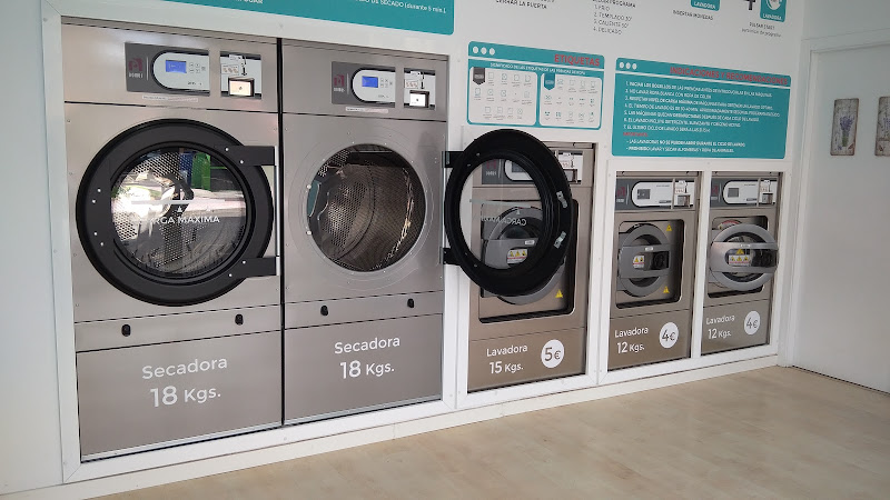 Lavandería Flor de Lavanda