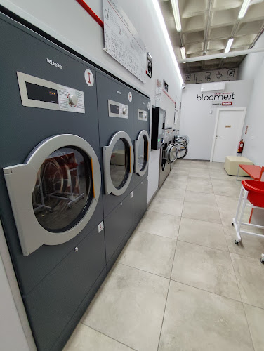 Lavanderia Bloomets Lepicentre Lavanderia Bloomets Lepicentre