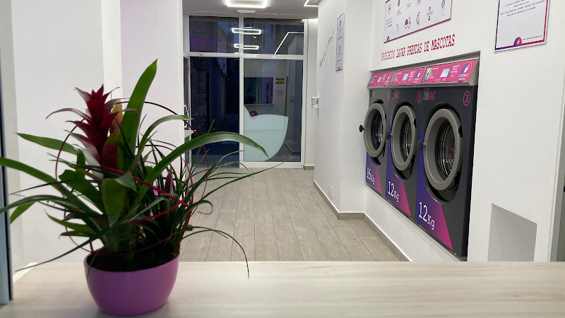 Lavamac Sagunto Lavamac Sagunto