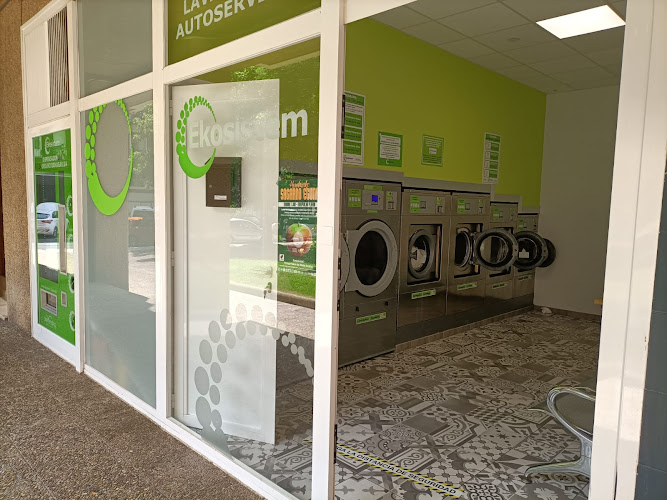 Ekosistem Lavandería Autoservicio
