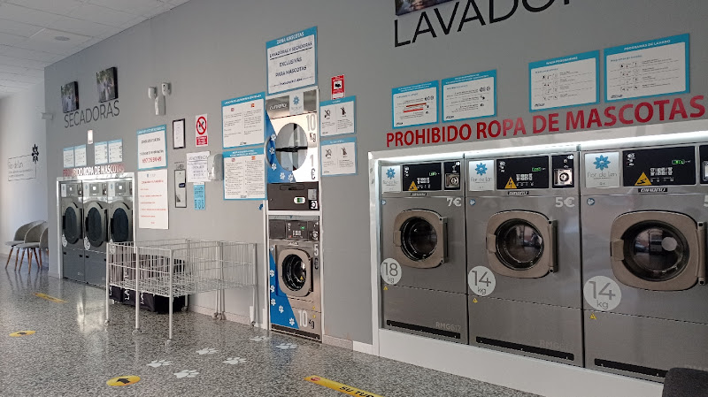 Lavandería Autoservicio Flor De Len Lavandería Autoservicio Flor De Len
