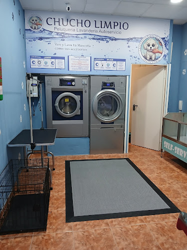 Chucho limpio lavanderia peluqueria de mascotas Chucho limpio lavanderia peluqueria de mascotas