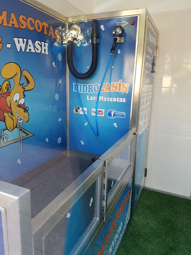Lavamascotas Torrejón De Ardoz Lavamascotas Torrejón De Ardoz