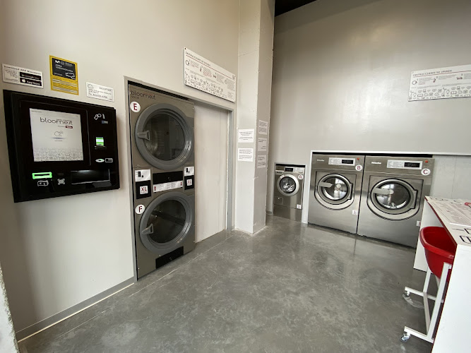 Bloomest Bilbao Zarandoa