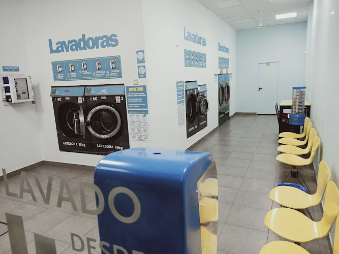 Mi colada Cantabria. El bosque